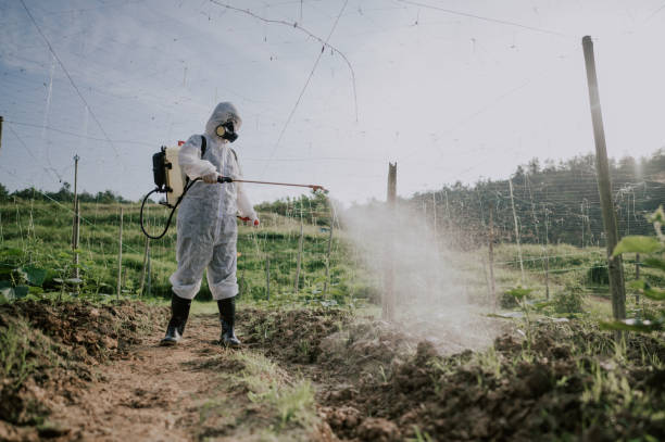 Best Pest Prevention Services  in Vashon, WA
