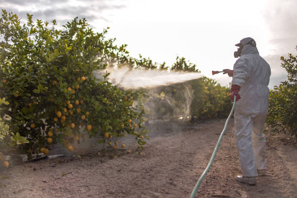 Best Best Pest Control Companies  in Vashon, WA