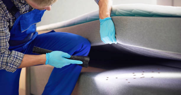 Best Exterminator Services  in Vashon, WA