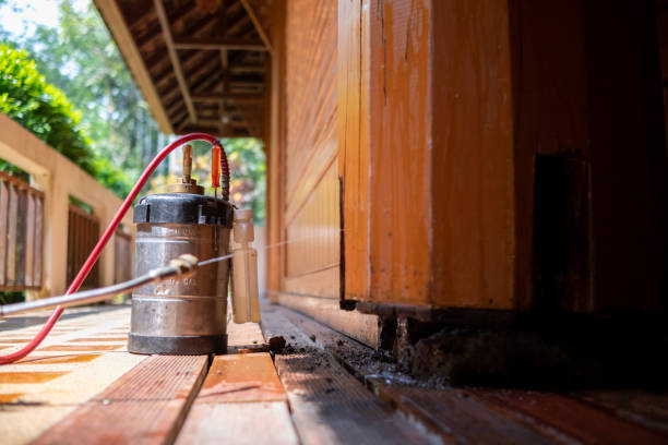 Best Emergency Pest Control  in Vashon, WA