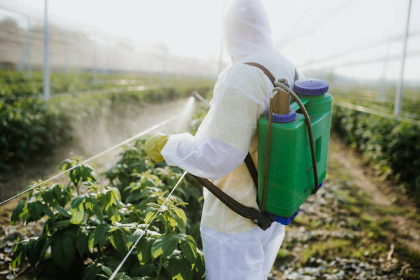 Best Commercial Pest Control Services  in Vashon, WA
